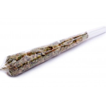 CBD-skywalker Joint