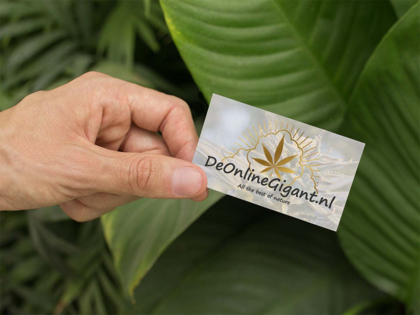 CBD Gruis mix CBD-CBDA top kwaliteit medicinale cbd gruis mix