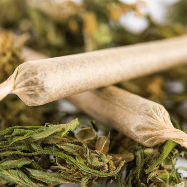 CBD bloem Bubblegum 15% (extra strong) 5 gram € 35,-