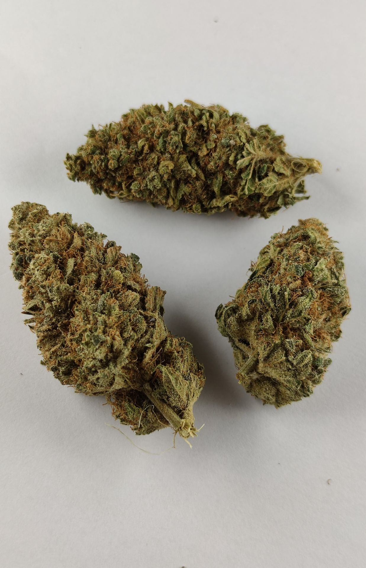 AMNESIA (10% CBD)-Wiet  Amnesia Haze